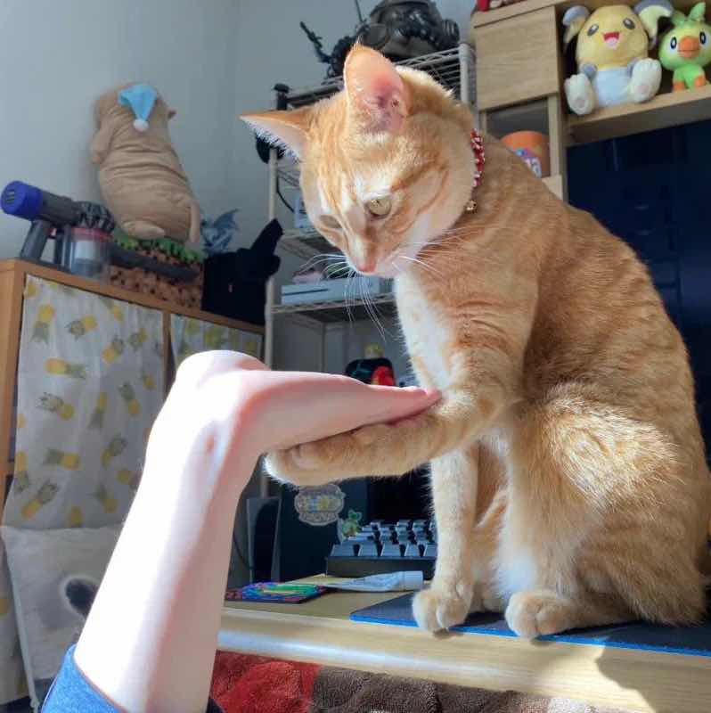 goodnovel comment avatar